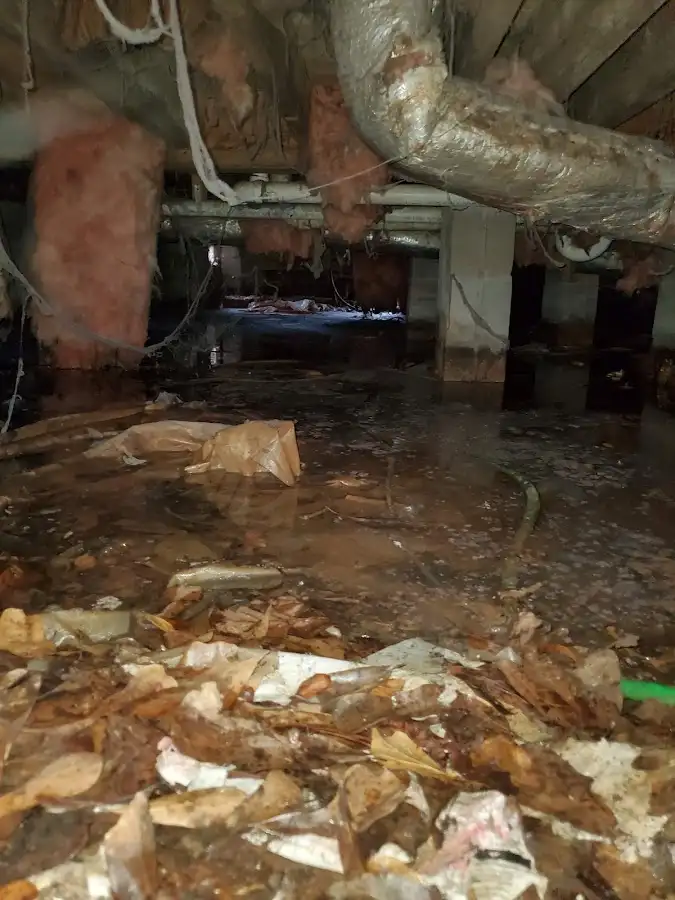 Crawl space flood assessment for Commercial Water Damage Restoration in Hyde Park