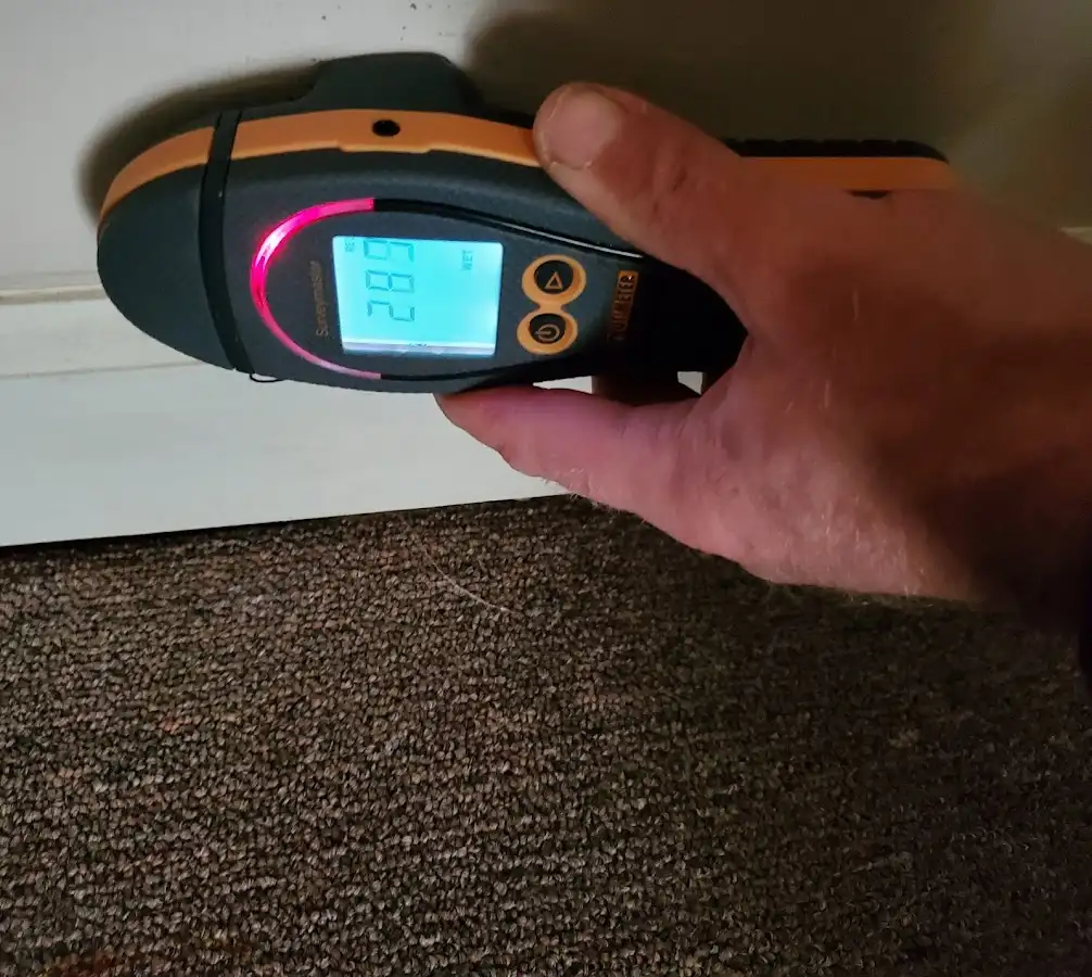 Moisture detection at baseboard during Sewage Cleanup & Sanitation in Hyde Park